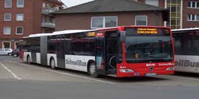 фото большие автобусы